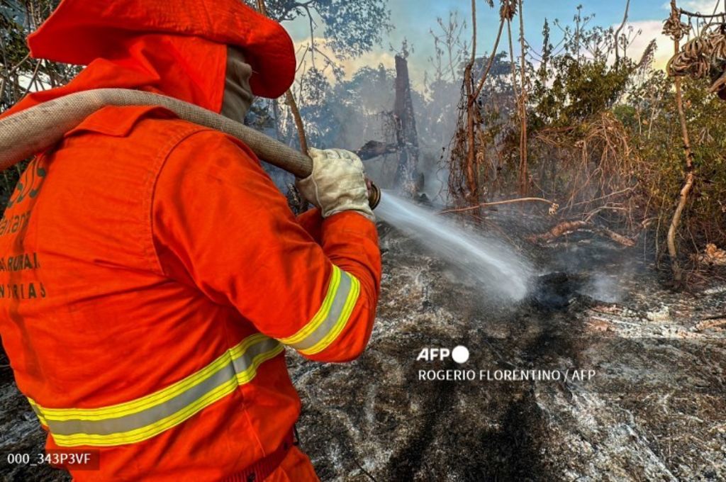 TV4 Noticias Guanajuato Incendios Fuera De Control Ponen En Peligro