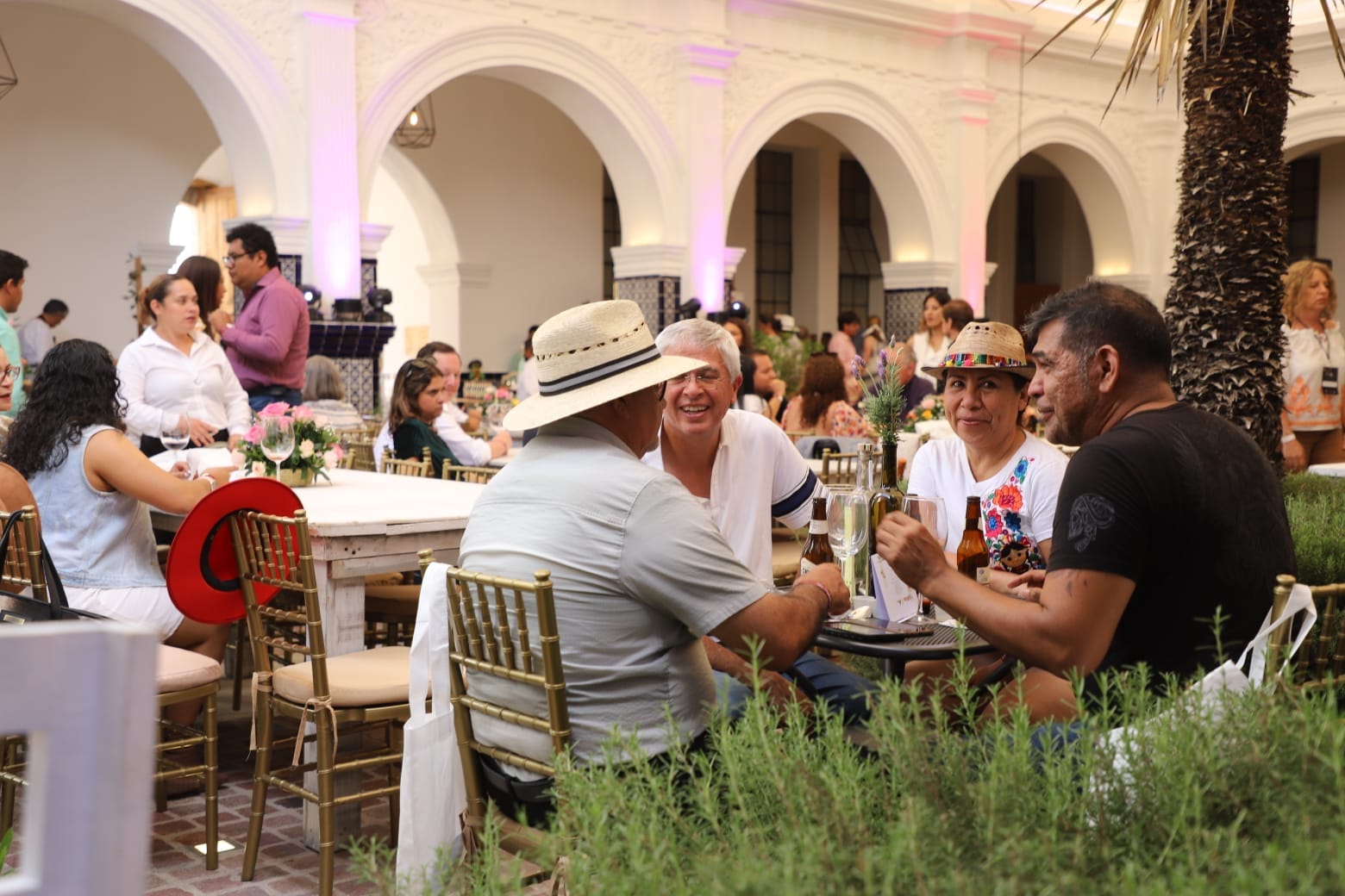 TV4 Noticias Guanajuato | Guanajuato se viste de vino, conoce la ruta de las 16 fiestas de vendimia 2026