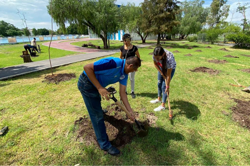 TV4 Noticias Guanajuato | Invitan a plantar árboles con responsabilidad ...
