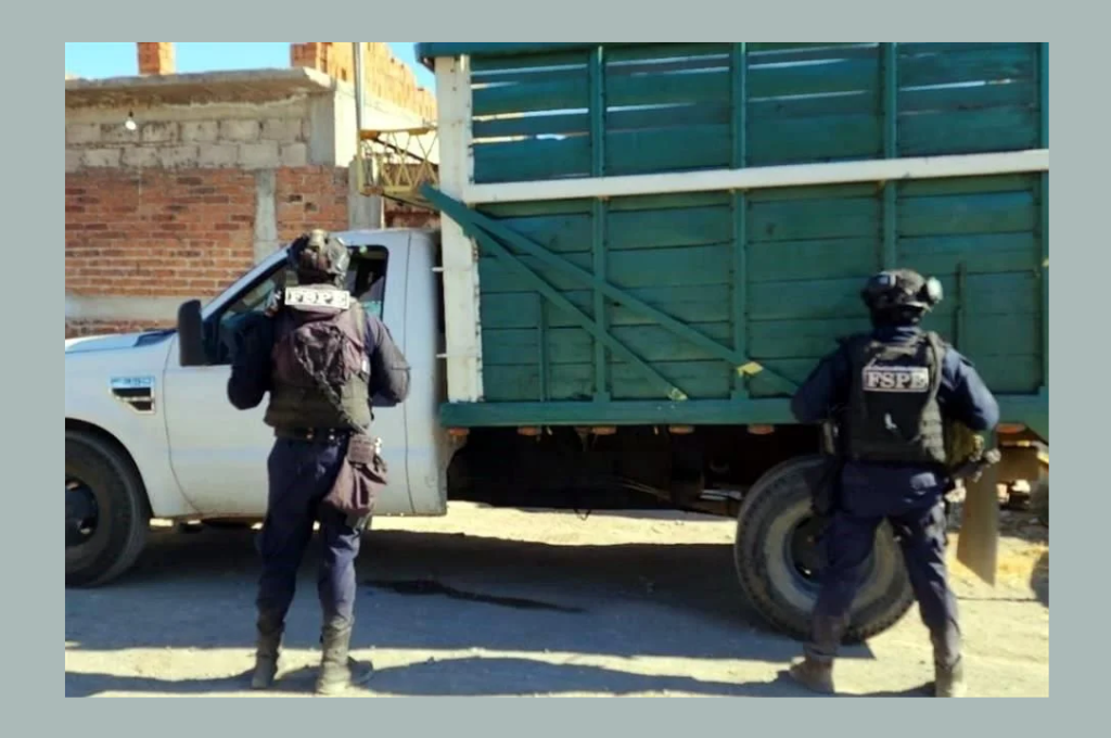 TV4 Noticias Guanajuato | Enlista Guanajuato operativos y decomisos de ...