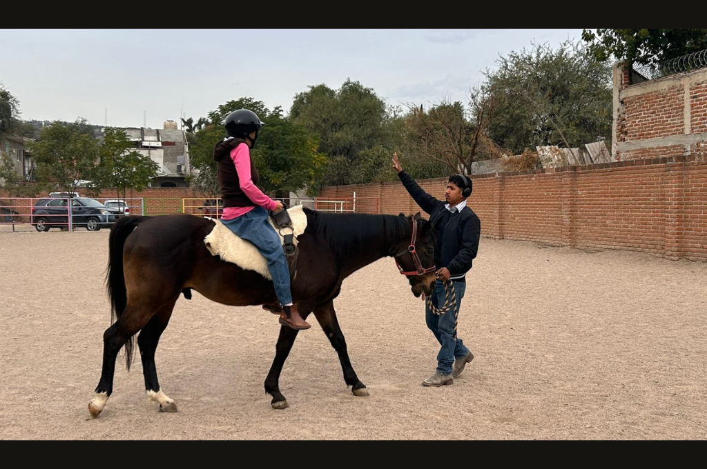 TV4 Noticias Guanajuato | Cuando los caballos ayudan a sanar la mente